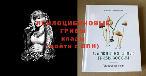 ПСИЛОЦИБИНОВЫЕ ГРИБЫ Абдулино