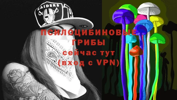 таблы Надым