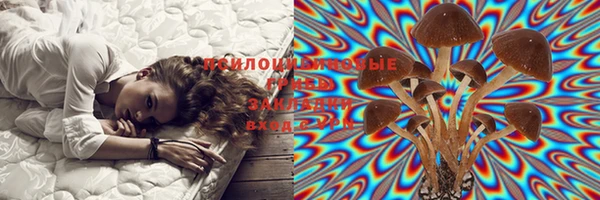 ПСИЛОЦИБИНОВЫЕ ГРИБЫ Абдулино